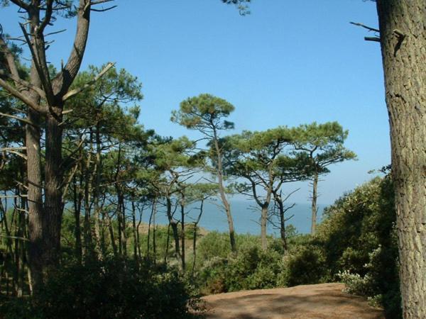 Cottages Du Valcoquet Saint-Brévin-les-Pins Exteriér fotografie